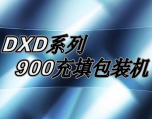 DXDK900多列顆粒包裝機
